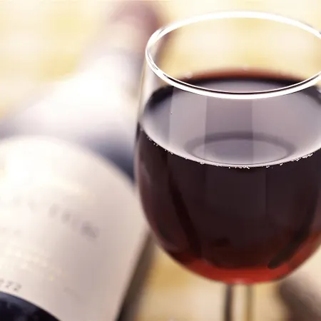 Hotel Ibis Woerthersee 3*